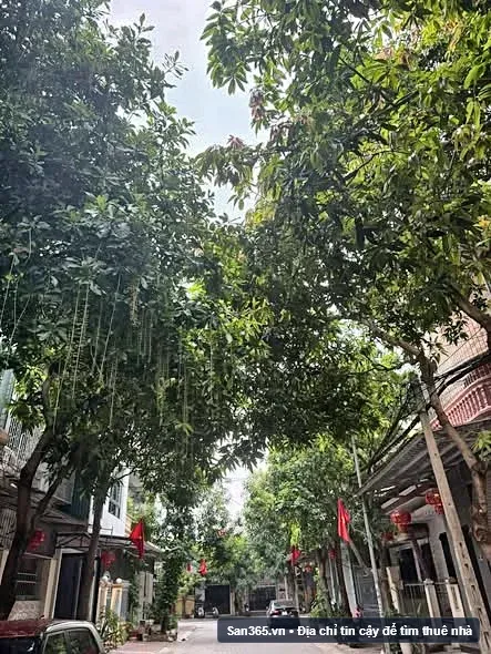 Cho thuê mặt bằng kinh doanh - Vị trí đẹp, tiện ích đầy đủ